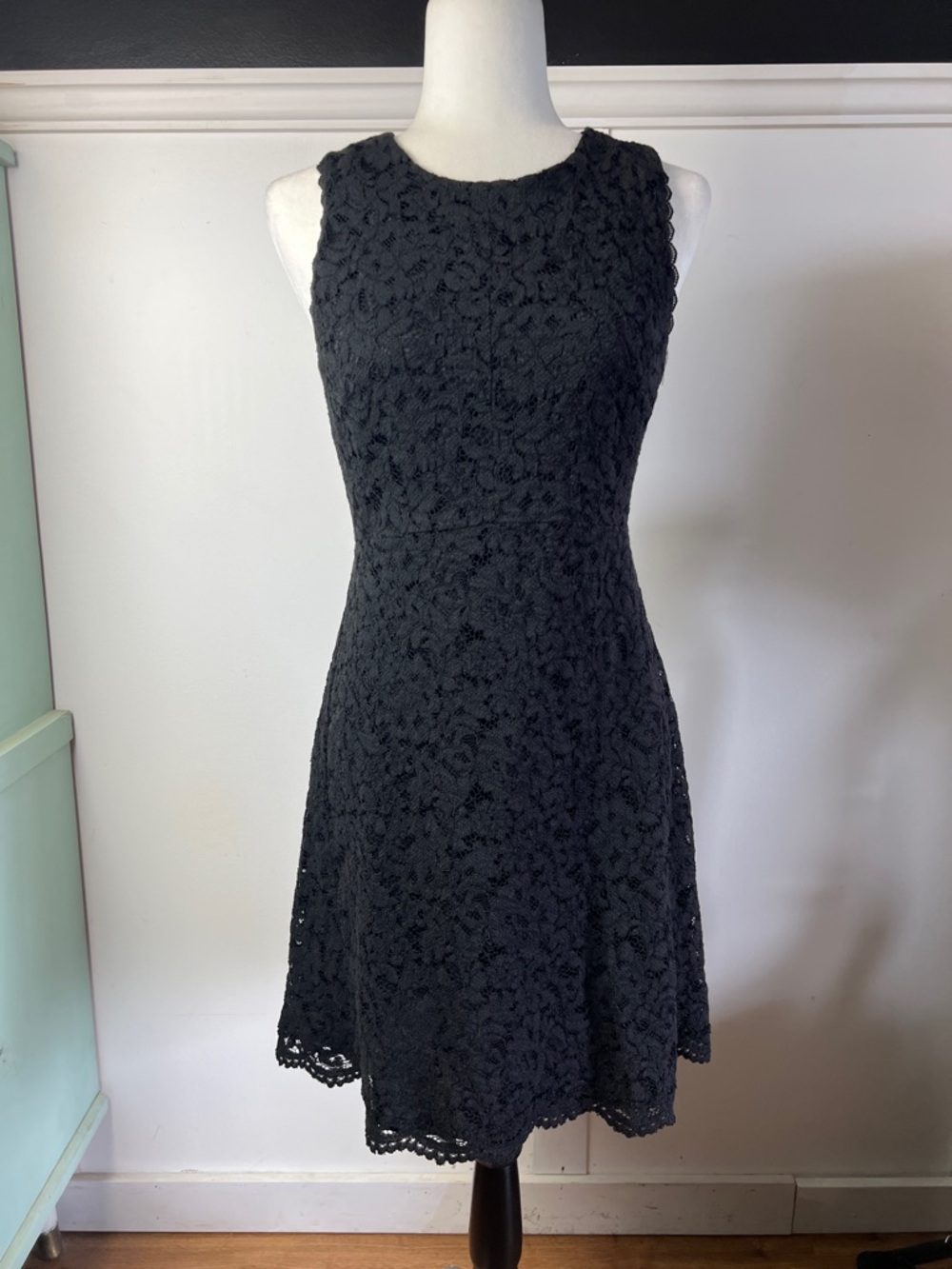 Babaton Black Lace Sleeveless Fit-and-Flare Mini Dress